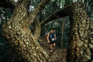 BIB: 
                            <button type="button" onclick="openModal(25669519)" class="btn btn-primary btn-sm float-right btn-popup" data-toggle="modal" data-target=".modal-high-quality">
                        <i class="fas fa-shopping-cart"></i> Add to Cart
                    </button>
                                            <button type="button" onclick="isThisMe(25669519, true)" class="btn btn-success btn-sm float-right btn-popup btn-isme hidden" data-toggle="tooltip" data-placement="bottom" title="นี่คือรูปของคุณใช่ไหม คลิกที่นี่เพื่อเอาเข้าอัลบั้ม">
                        <i class="fas fa-plus"></i> Add to album
                    </button>
                    <button type="button" onclick="isThisMe(25669519, false)" class="btn btn-warning btn-sm float-right btn-popup btn-isnotme hidden">
                        <i class="fas fa-ban"></i> Remove from album
                    </button>